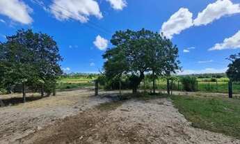 Imagem 3: FAZENDA 52 ALQUEIRES ESTRADA ARARUAMA SÃO VICENTE ARARUAMA/RJ