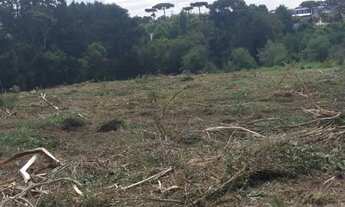 Imagem 5: Locação de área para plantio