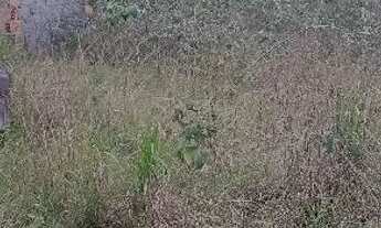 Imagem 4: Aluga -se terreno pra implantar energia solar