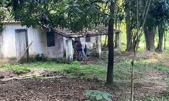 Imagem 3: Excelente área para investimento em ecoturismo em Valinhos!