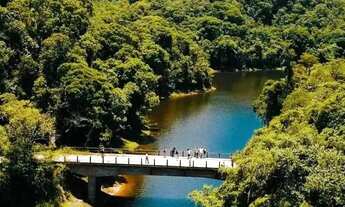 Imagem: TERRENOS EM IBIÚNA-SP
