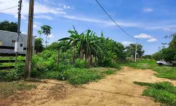 Imagem 7: Duas chácaras juntas em aragoiânia