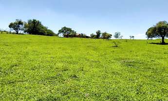 Imagem 7: Imóvel para venda com 60500 metros quadrados em Zona Rural - Porangaba - SP