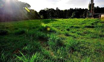 Imagem 7: Lote em Rua dos Expedicionários - Sousas - Campinas/SP