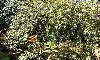 Imagem 2: Sobrado com 3 Quartos à venda, 300 m² por R$ 1.150.000 - Setor Coimbra - Goiânia/GO