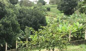 Imagem 2: Terreno em Mulungu