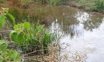 Imagem 6: Fazenda minas divisa com espírito santo
