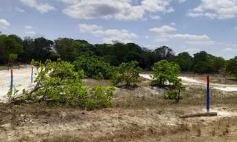 Imagem 5: LOTEAMENTO 3 IRMÃOS