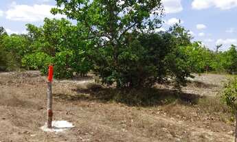 Imagem 7: LOTEAMENTO 3 IRMÃOS