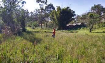 Imagem 4: Terreno para chácara com ESCRITURA, linda nascente Mairiporã