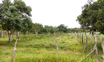 Imagem 8: POJUCA - Fazenda 230 ha