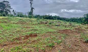 Imagem 7: Fazenda/Sítio/Chácara para venda possui 4500 metros quadrados com 1 quarto
