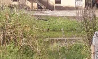 Imagem 7: Sítio com 3 dormitórios à venda, 92000 m² por R$ 850.000 - Zona Rural - Ouro Fino/MG