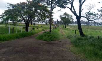 Imagem 5: HARAS - ÁREA 12 ALQUEIRES