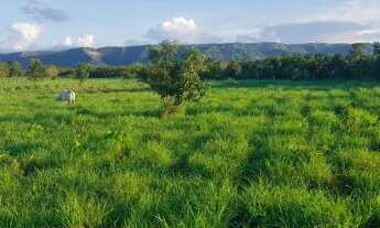 Imagem 7: Oportunidade! Vende-se um espetáculo de fazenda de 43 Alqueires