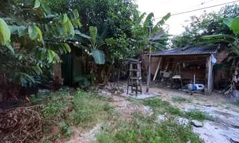 Imagem 7: VENDE-SE UMA CASA