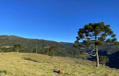 Imagem 5: Terreno próximo ao Morro da Igreja em Urubici