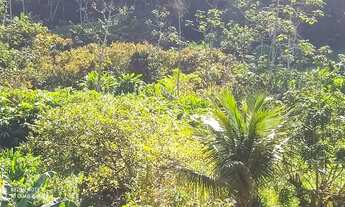 Imagem 4: Fazenda/Sítio/Chácara para venda possui 72 metros quadrados com 2 quartos