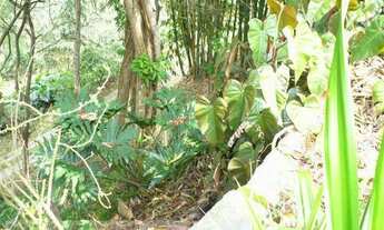 Imagem 4: Terreno para Venda em Teresópolis, Posse