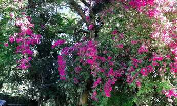 Imagem 5: Porto Alegre - Terreno Padrão - Belém Novo