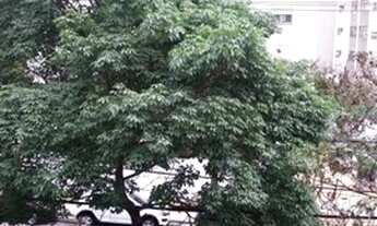 Imagem 5: APARTAMENTO - JARDIM PAULISTA - SP