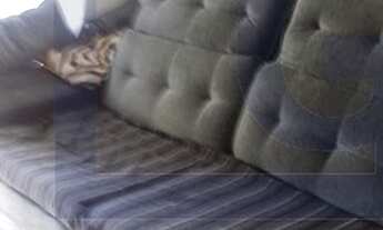 Imagem 6: Apartamento em São Bernardo do Campo