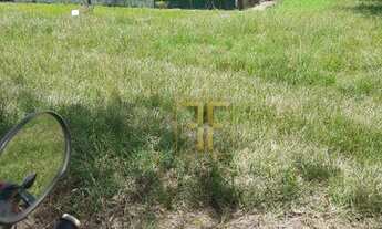 Imagem: Fazenda 470 Alqueires, Mutunópolis, GO