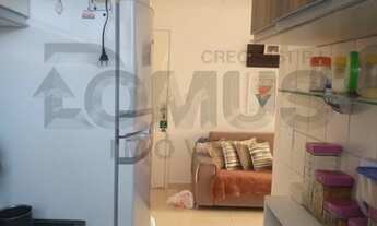 Imagem 4: Lindo apartamento no Condomínio Pedro Barreto