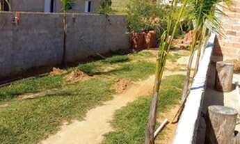 Imagem 2: Alambari - Chácara - Bairro do Cerrado