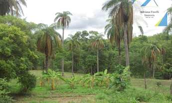 Imagem 3: Sítio à venda, 60000 m² por R$ 200.000 - Sao Joao Da Lagoa - São João da Lagoa/Minas Gerai