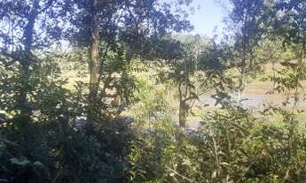 Imagem 4: Sitio maravilhoso