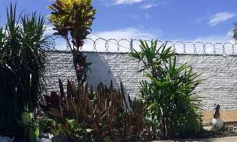 Imagem 3: Casa 2 Dormitórios com Piscina - Estreito