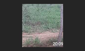 Imagem 3: Oportunidade! Vende-se uma excelente fazenda de 164 Alqueires