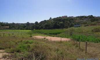 Imagem 3: TERRENO - VILA NOVA TRIESTE - SP