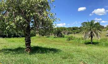 Imagem 5: Chácara 4 alqueires em Uruana-go