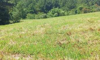 Imagem 4: Chácara de 2 Hectares com riacho na parada 89