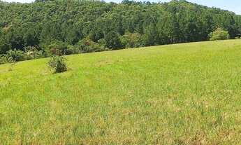 Imagem 2: Chácara de 2 Hectares com riacho na parada 89