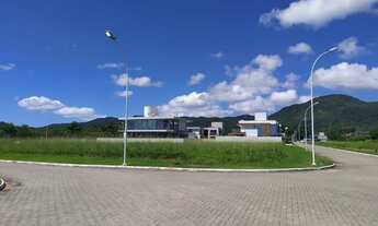 Imagem 3: VIVA COM UMA NATUREZA EXUBERANTE AO SEU REDOR