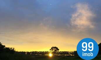 Imagem: Área Rural em Botucatu - 5 alqueires