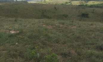 Imagem 5: Lote para chácara