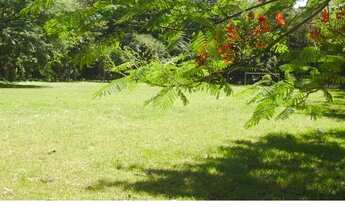 Imagem 4: Terreno à venda e para locação, bairro Sol Nascente, São Paulo, SP
