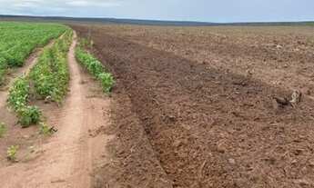 Imagem 4: OPORTUNIDADE ! Fazenda com 1.495 hectares em Tangará da Serra/MT - agricultura