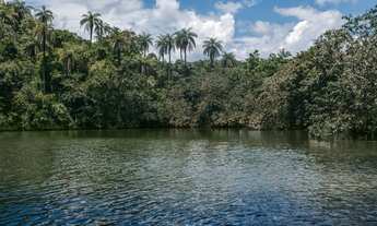 Imagem 2: Fazendinhas 20.000m² Localização Excelente 165.025 + Parcelas