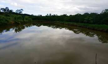 Imagem 5: Fazenda/Sítio/Chácara para Criaçao de Camarão