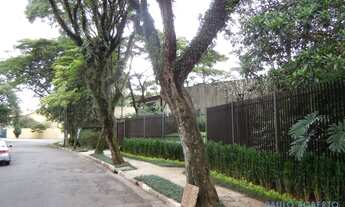 Imagem 2: SOBRADO - ALTO DE PINHEIROS - SP