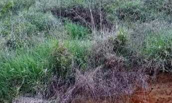 Imagem 6: Sítio de 2 alqueires com duas casas, mata e nascente, próximo a Guaçui-ES