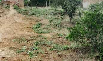 Imagem: Terreno para chácara no Murici