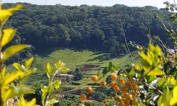 Imagem 5: Chácara 4 mil metros