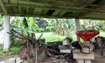 Imagem 2: POJUCA - Fazenda 230 ha