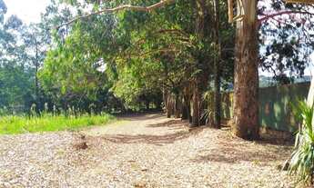 Imagem 7: Área Fascinante para Chácara - Ilha Verde, Represa Rio Verde, nesta à venda no bairro But